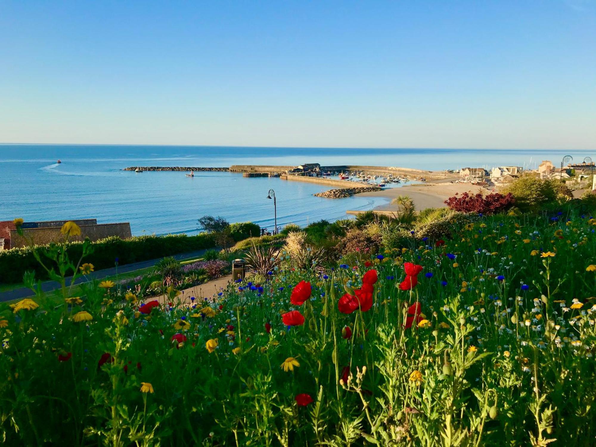 Lyme Regis renovated period seaside flat Lejlighed Eksteriør billede